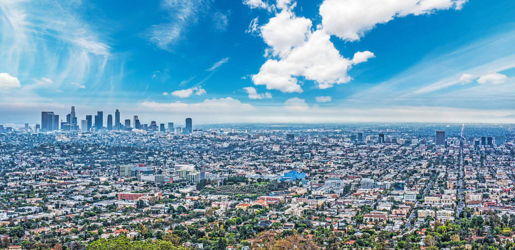 Los Angeles city landscape